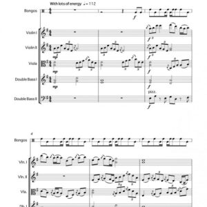 <b><i>Bryanston Jig<br></b></i>for bongos & string quintet