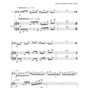 <b><i>Enraptured<br></b></i>for viola & piano