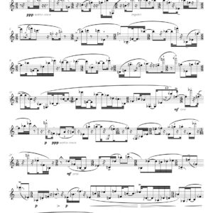 <b><i>Gêmdisyn<br></b></i>for solo E-flat clarinet